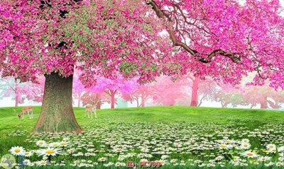 File PSD File gốc phong cảnh PC739 (gốc) tách lớp chi tiết