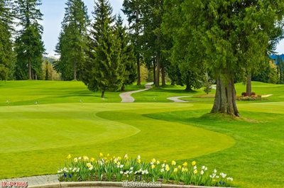 File PSD File gốc phong cảnh PC866 (bản gốc) đã tách nền