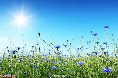 File tranh quảng cáo File gốc phong cảnh PC909 (file gốc) chuyên nghiệp