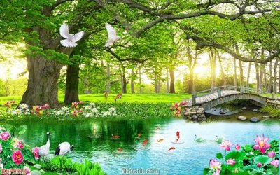 File in mica File gốc phong cảnh PC910 (bản gốc) siêu trong