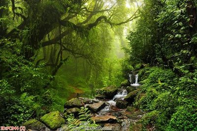 File tranh File gốc phong cảnh PC944 (gốc) chủ đề thiên nhiên