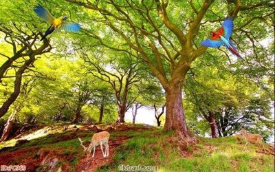 File gốc File gốc phong cảnh PC969 (cho in ấn) độc quyền