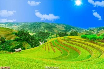 File gốc File gốc phong cảnh PC995 (ảnh chi tiết) để in trần