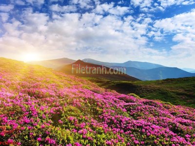 File in trần File tranh phong cảnh thiên nhiên PCN1010 (bản gốc) 5D