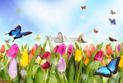 File PSD File tranh phong cảnh thiên nhiên PCN1017 (bản gốc) dễ dàng edit