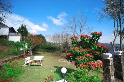 File tranh File tranh phong cảnh thiên nhiên PCN102 (ảnh gốc) độ nét vượt trội