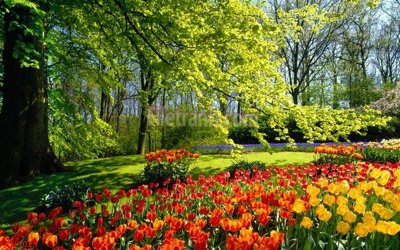 File gốc File tranh phong cảnh thiên nhiên PCN1025 (in 3D) cho trang trí