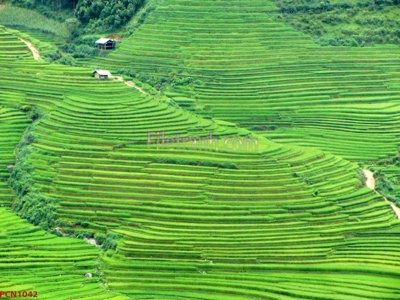 File in lụa File tranh phong cảnh thiên nhiên PCN1042 (tân cổ điển) File tranh phong cảnh thiên nhiên PCN1042