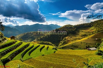 Tải file gốc File tranh phong cảnh thiên nhiên PCN1043 (in tráng gương) 5DFile gốc File tranh phong cảnh thiên nhiên PCN1043 (in ấn) phiên bản premium