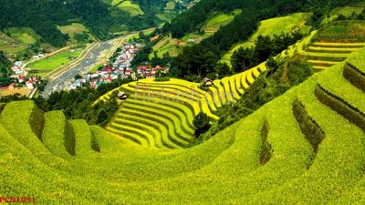 File PSD File tranh phong cảnh thiên nhiên PCN1051 (gốc) tách lớp chi tiết