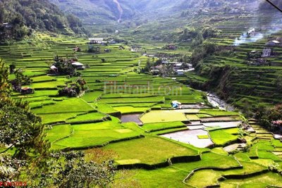 File PSD File tranh phong cảnh thiên nhiên PCN1052 (bản gốc) đã tách nền