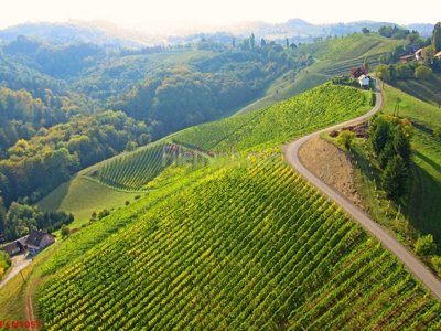 File tranh gốc File tranh phong cảnh thiên nhiên PCN1057 (bản quyền) độc đáo