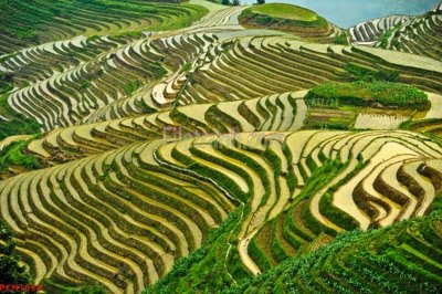 Tệp tin gốc File tranh phong cảnh thiên nhiên PCN1058 (dùng cho in ấn) chuyên nghiệp