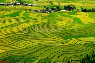 File tranh File tranh phong cảnh thiên nhiên PCN1059 (gốc) in vải canvas