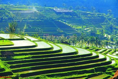 File tranh in trần 3D File tranh phong cảnh thiên nhiên PCN1061 (ảnh gốc)