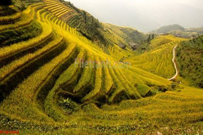 File tranh File tranh phong cảnh thiên nhiên PCN1064 (ảnh gốc) chi tiết rõ ràng