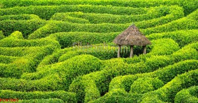 File tranh gốc File tranh phong cảnh thiên nhiên PCN1067 chủ đề hiện đại