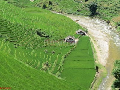 File gốc File tranh phong cảnh thiên nhiên PCN1071 cho in ấn và thiết kế