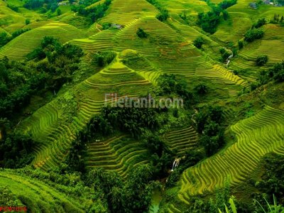 Download file File tranh phong cảnh thiên nhiên PCN1076 (chuẩn in) chất lượng cao