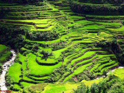 File ảnh File tranh phong cảnh thiên nhiên PCN1082 (gốc) in Hiflex