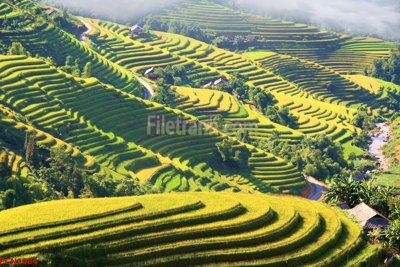 File tranh PSD File tranh phong cảnh thiên nhiên PCN1084 chất lượng cao