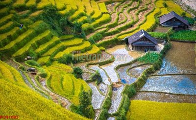 File tranh File tranh phong cảnh thiên nhiên PCN1085 (ảnh gốc) sắc nét hoàn hảo