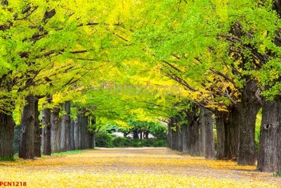 File gốc File tranh phong cảnh thiên nhiên PCN1218 (ảnh chi tiết) để in ấn