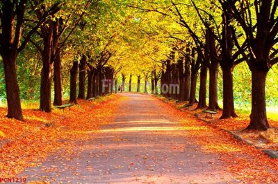 Tải file File tranh phong cảnh thiên nhiên PCN1219 (gốc) chủ đề tôn giáo