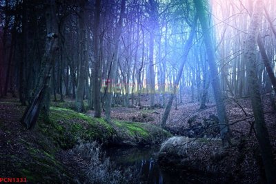 Tải file gốc File tranh phong cảnh thiên nhiên PCN1331 (in tráng gương) cao cấpFile gốc File tranh phong cảnh thiên nhiên PCN1331 (in ấn) phiên bản độc quyền