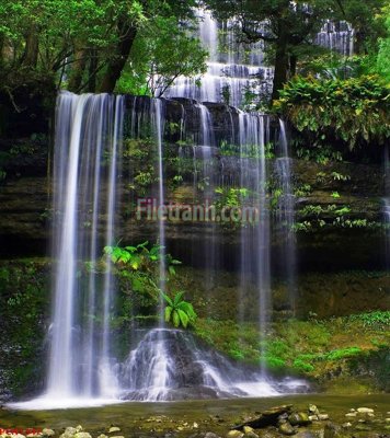 File tranh ảnh gốc File tranh phong cảnh thiên nhiên PCN1347 dùng cho in khổ lớn