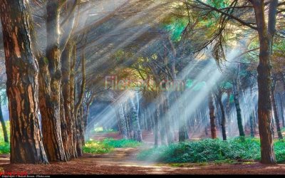 File tranh File tranh phong cảnh thiên nhiên PCN1349 (gốc) chủ đề thành phố