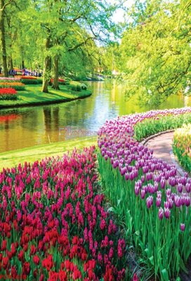 File ảnh File tranh phong cảnh thiên nhiên PCN1418 (gốc) dùng in Pano