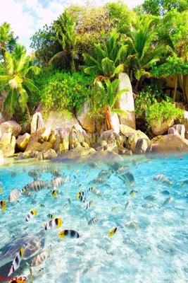 File PSD File tranh phong cảnh thiên nhiên PCN142 (bản gốc) độ phân giải cao