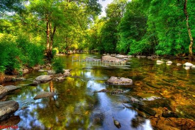 File gốc File tranh phong cảnh thiên nhiên PCN1466 (in tráng gương) nghệ thuật