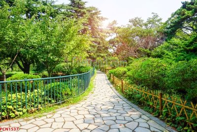 File ảnh File tranh phong cảnh thiên nhiên PCN1537 (gốc) in PP, decal