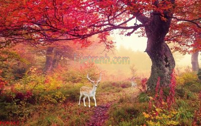 Download file gốc File tranh phong cảnh thiên nhiên PCN157 (dùng cho in ấn)