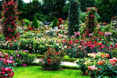 File in ấn chuyên nghiệp File tranh phong cảnh thiên nhiên PCN1643 (file gốc)