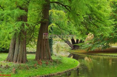 File in lụa File tranh phong cảnh thiên nhiên PCN1692 (chất lượng cao) File tranh phong cảnh thiên nhiên PCN1692