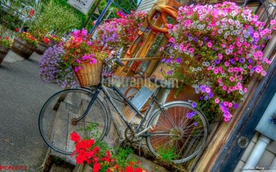 Download file gốc File tranh phong cảnh thiên nhiên PCN171 (in lụa) hoa lá