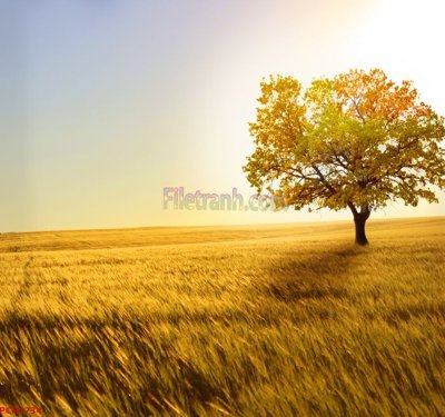 File gốc File tranh phong cảnh thiên nhiên PCN1734 (cho in ấn) độc quyền