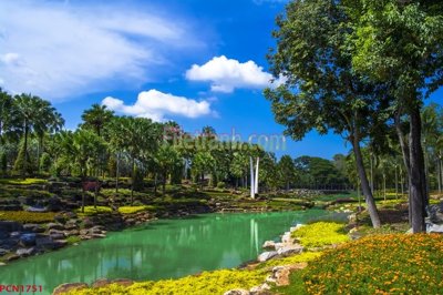 Tải file File tranh phong cảnh thiên nhiên PCN1751 (gốc) làm file tranh quảng cáo