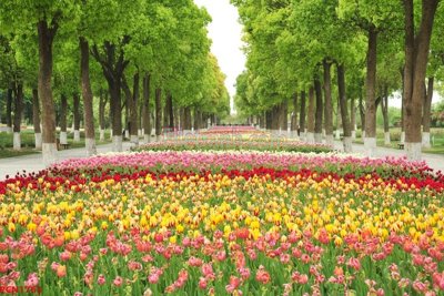 Tải file File tranh phong cảnh thiên nhiên PCN1763 (PSD) cho in tranh 3D