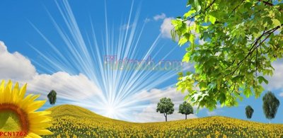 Tải file File tranh phong cảnh thiên nhiên PCN1767 (gốc) chủ đề tâm linh