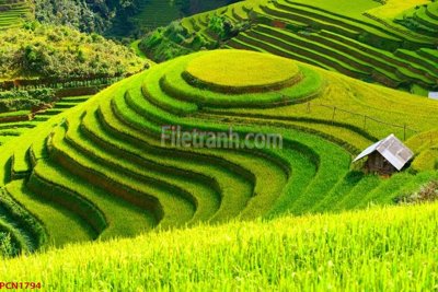 Tải file gốc File tranh phong cảnh thiên nhiên PCN1794 (in khổ lớn) không mờ