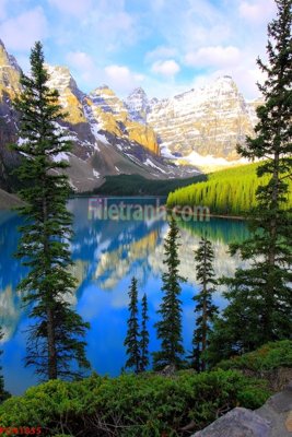 File gốc File tranh phong cảnh thiên nhiên PCN1835 (trang trí) phòng làm việc