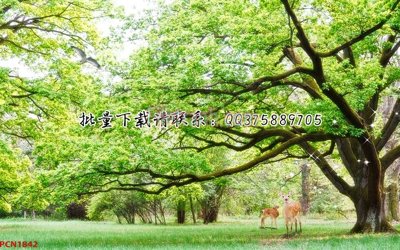 File tranh gốc File tranh phong cảnh thiên nhiên PCN1842 chủ đề hiện đại