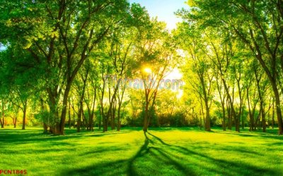 Download file File tranh phong cảnh thiên nhiên PCN1845 (gốc) in mica đèn LED