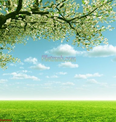 File tranh in tráng gương File tranh phong cảnh thiên nhiên PCN1850 (siêu nét)