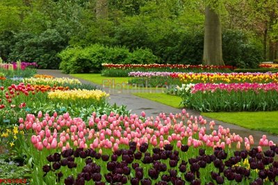 Tải file File tranh phong cảnh thiên nhiên PCN1882 (ảnh gốc) in tráng gương