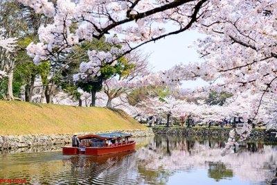 Tải file File tranh phong cảnh thiên nhiên PCN1894 (PSD) cho in tranh kính